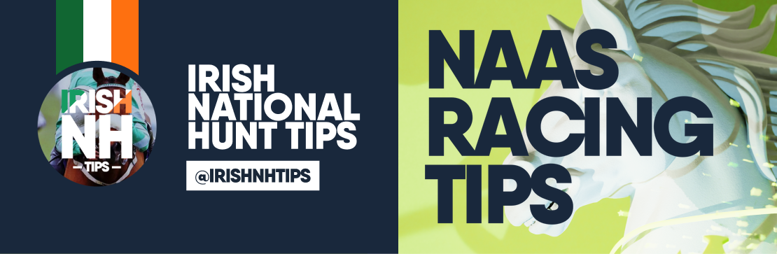 This Weekend's Racing Tips at Naas | Irish NH Tips